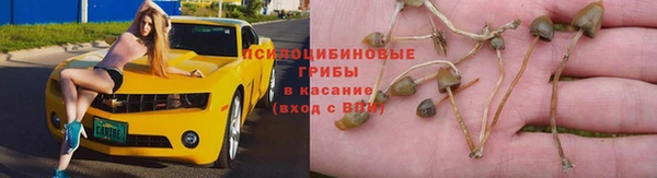 эйфоретик Пролетарск
