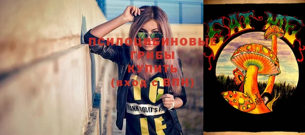 МДМА Приозерск