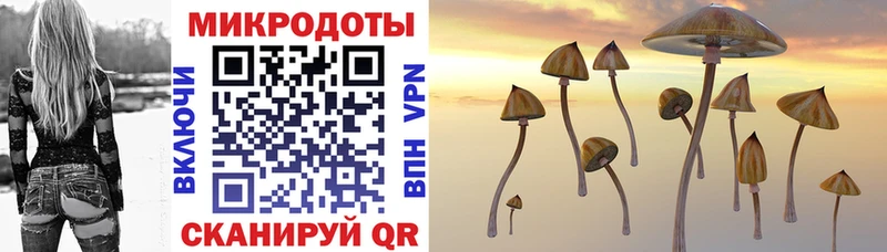 закладка  Чита  Галлюциногенные грибы Magic Shrooms 