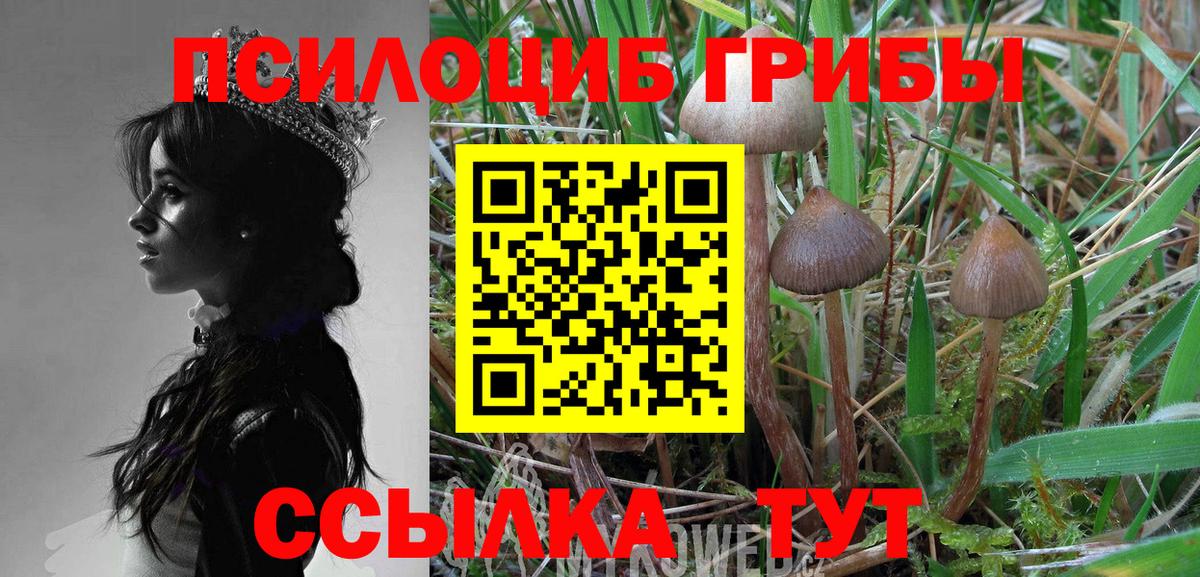 Псилоцибиновые грибы мицелий Чита