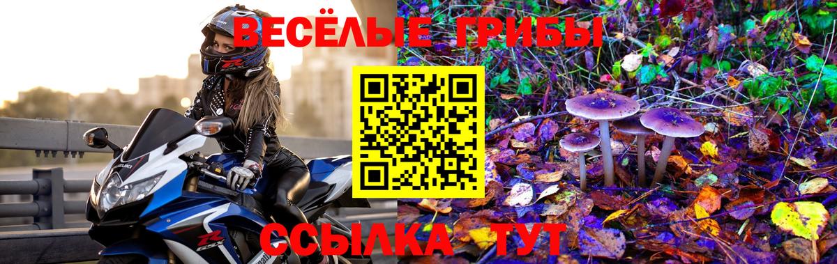 Псилоцибиновые грибы Psilocybe  где можно купить наркотик  Чита 