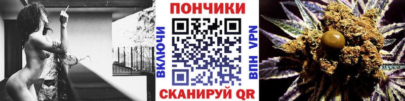 наркота  мега   Бошки марихуана гибрид  Чита 